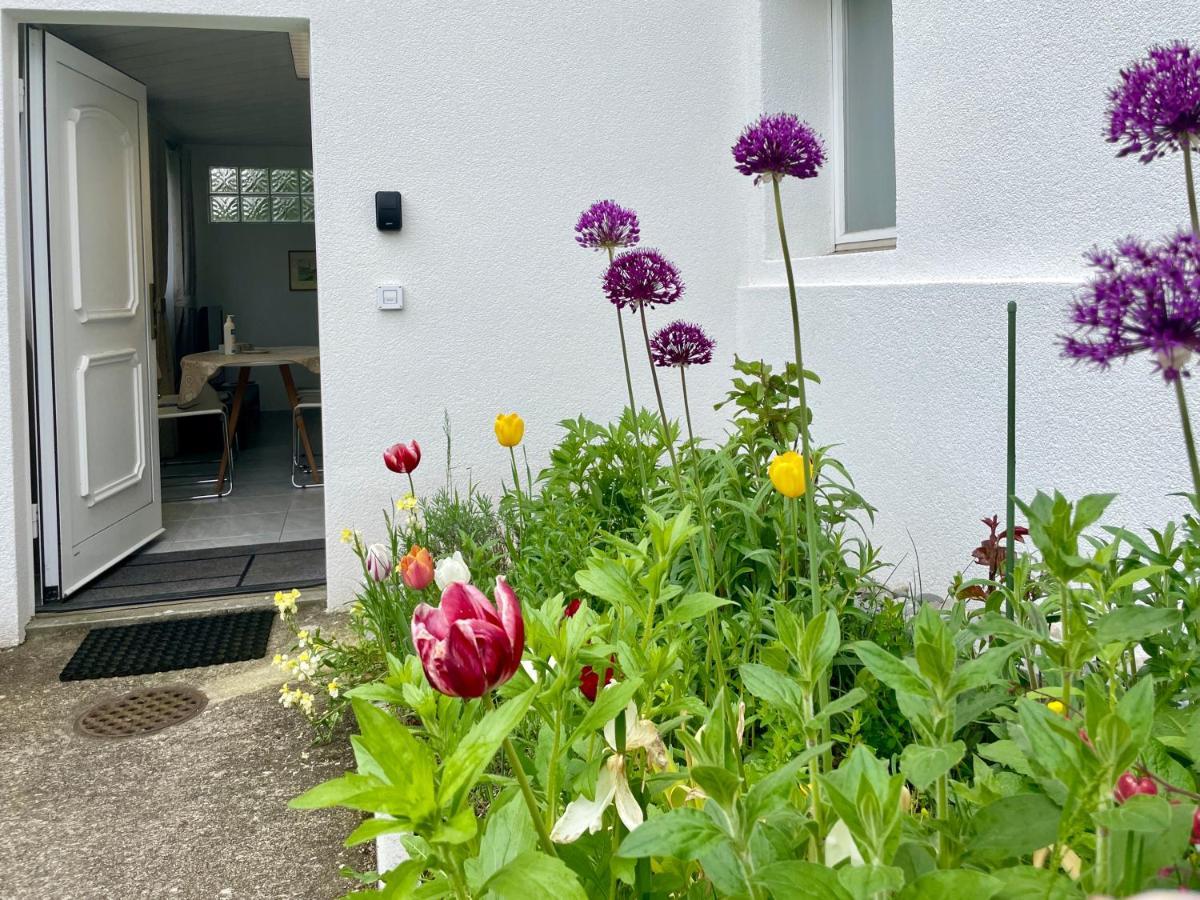 Studio In Stadtnaehe Zuerich Mit Guter Verkehrsanbindung Adliswil Exterior foto